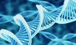 擴增子定量檢測